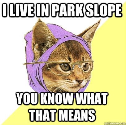 I live in Park Slope You know what that means - I live in Park Slope You know what that means  Hipster Kitty