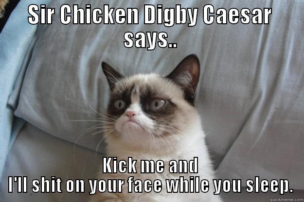 Sir Chicken Digby Caesar says.. - SIR CHICKEN DIGBY CAESAR SAYS.. KICK ME AND I'LL SHIT ON YOUR FACE WHILE YOU SLEEP. Grumpy Cat