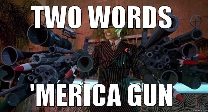 TWO WORDS 'MERICA GUN Misc