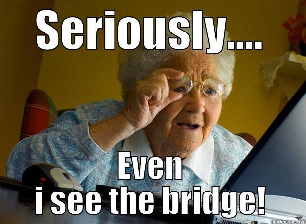 SERIOUSLY.... EVEN I SEE THE BRIDGE! Grandma finds the Internet