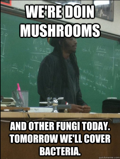 We're doin mushrooms and other fungi today. Tomorrow we'll cover bacteria.  Rasta Science Teacher