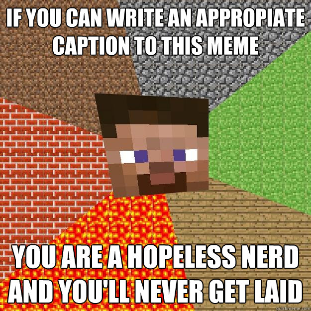 if you can write an appropiate caption to this meme you are a hopeless nerd and you'll never get laid - if you can write an appropiate caption to this meme you are a hopeless nerd and you'll never get laid  Minecraft