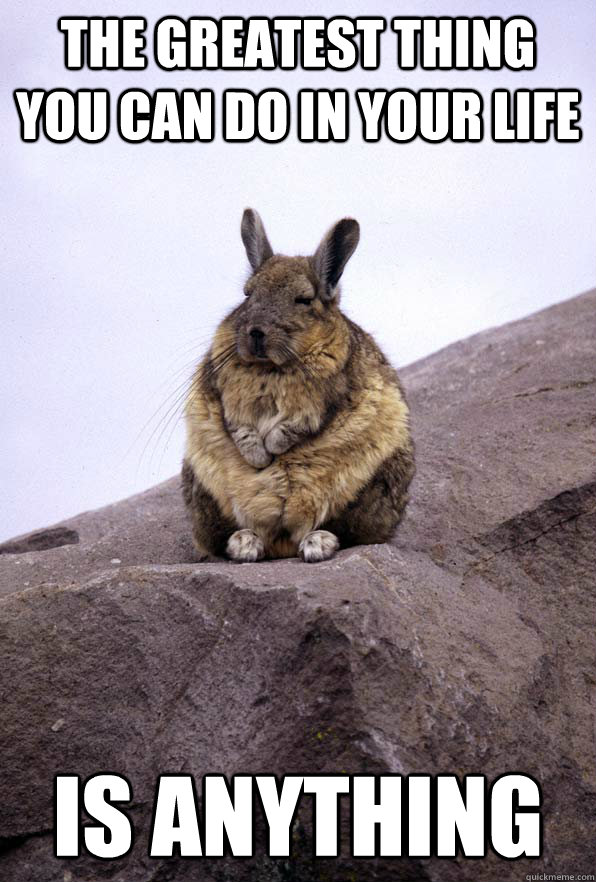 the greatest thing you can do in your life is anything  Wise Wondering Viscacha