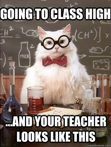 GOING TO CLASS HIGH ...AND YOUR TEACHER LOOKS LIKE THIS - GOING TO CLASS HIGH ...AND YOUR TEACHER LOOKS LIKE THIS  Chemistry Cat