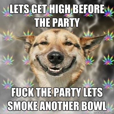 lets Get high before the party fuck the party lets smoke another bowl  Stoner Dog