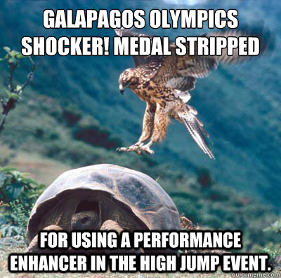 Galapagos Olympics Shocker! Medal stripped for using a performance enhancer in the high jump event.  Galapagos Tortoise and Hawk