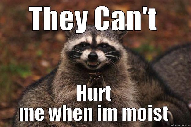 THEY CAN'T HURT ME WHEN IM MOIST Evil Plotting Raccoon