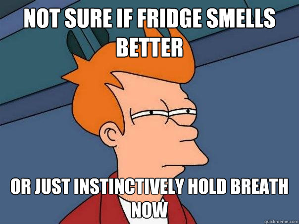 not sure if fridge smells better Or just instinctively hold breath now  Futurama Fry