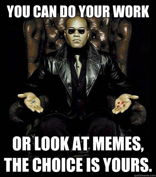 YOU CAN DO YOUR WORK OR LOOK AT MEMES, THE CHOICE IS YOURS.  Morpheus