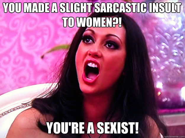 You made a slight sarcastic insult to women?! You're a Sexist!  Feminist Nazi