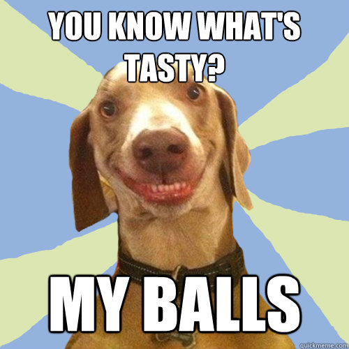 you know what's tasty? my balls  Disgusting Doggy