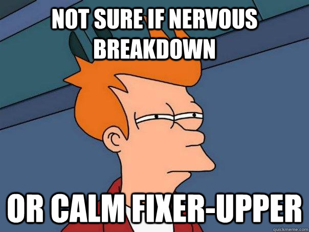 not sure if nervous breakdown Or calm fixer-upper - not sure if nervous breakdown Or calm fixer-upper  Futurama Fry