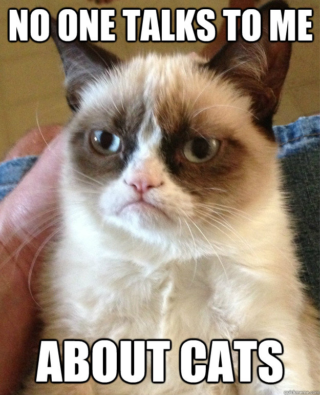 No one talks to me about cats  Grumpy Cat