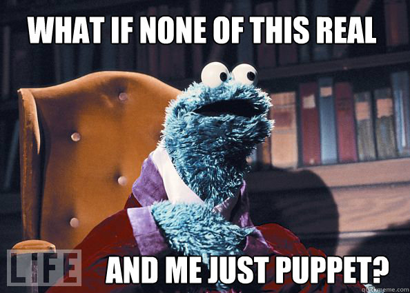 what if none of this real and me just puppet?  
