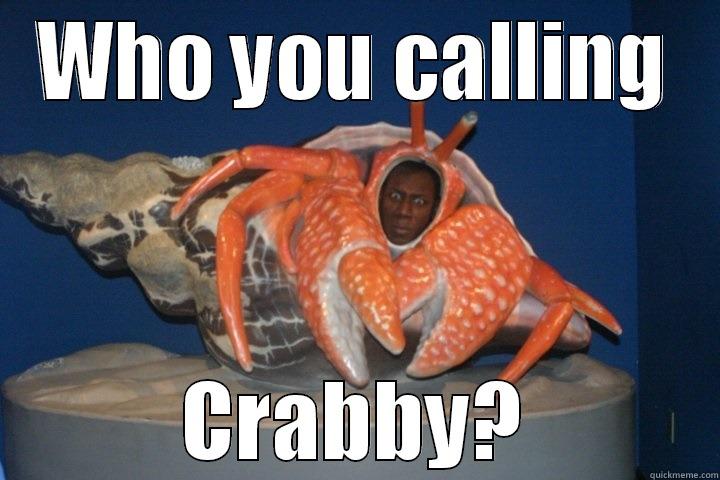 Mr Crabs - WHO YOU CALLING CRABBY? Misc