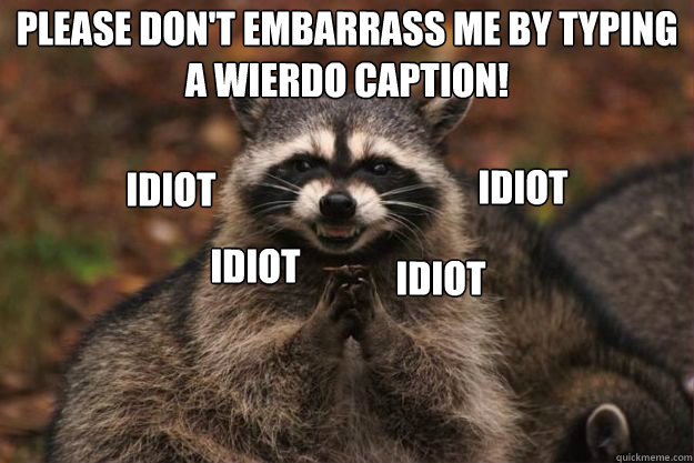 PLEASE don't embarrass me by typing a wierdo caption! Idiot Idiot Idiot Idiot  Evil Plotting Raccoon