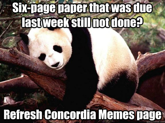 Six-page paper that was due last week still not done? Refresh Concordia Memes page  Procrastination Panda