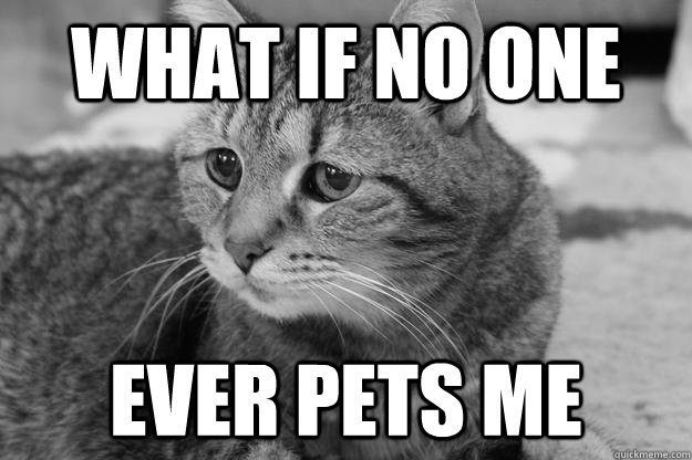 What if no one ever pets me - What if no one ever pets me  sadcat