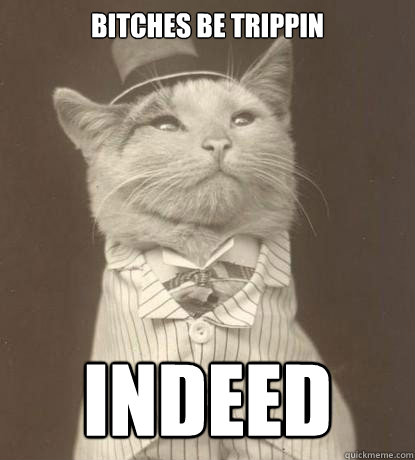 BITCHES BE TRIPPIN
 INDEED   Aristocat