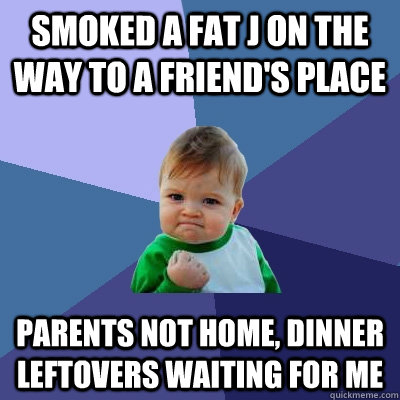 Smoked a fat j on the way to a friend's place parents not home, dinner leftovers waiting for me  Success Kid