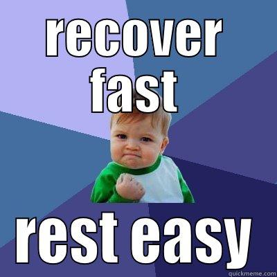 recovery plan disaster - RECOVER FAST REST EASY Success Kid