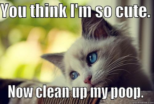 Cute Cat Poops  - YOU THINK I'M SO CUTE.  NOW CLEAN UP MY POOP. First World Problems Cat