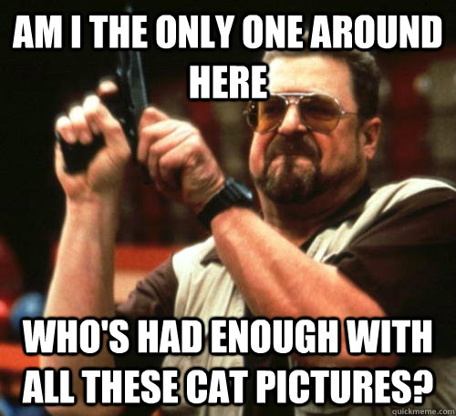 Am i the only one around here who's had enough with all these cat pictures?  Am I The Only One Around Here