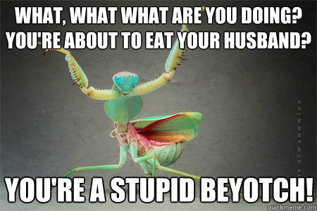 What, what what are you doing? You're about to eat your husband? You're a stupid beyotch!  