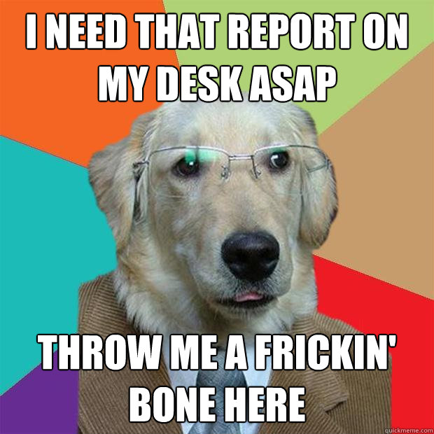 I need that report on my desk asap Throw me a frickin' bone here  Business Dog