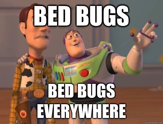 Bed Bugs Bed Bugs Everywhere  Buzz Lightyear