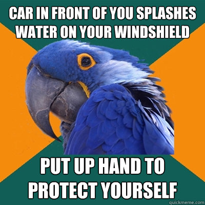 car in front of you splashes water on your windshield put up hand to protect yourself  Paranoid Parrot