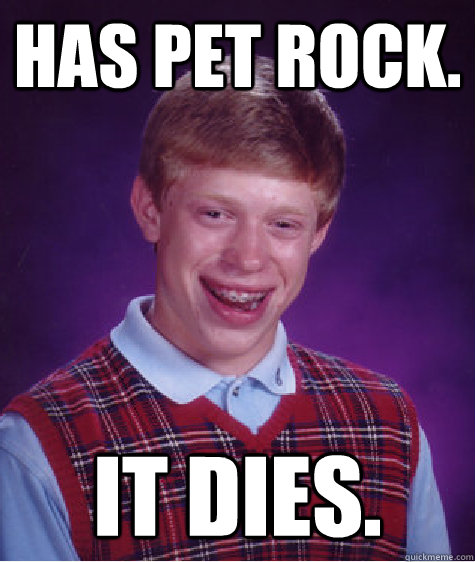 Has pet rock. It dies.  Bad Luck Brian