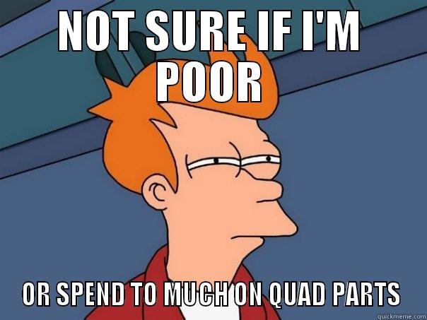 NOT SURE IF I'M POOR OR SPEND TO MUCH ON QUAD PARTS Futurama Fry