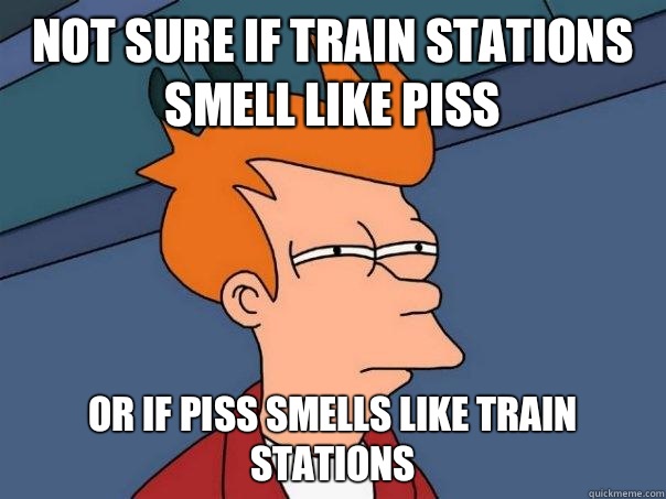 Not sure if train stations smell like piss or if piss smells like train stations   Futurama Fry