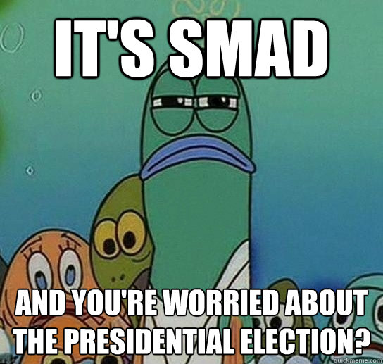 it's smad And you're worried about the presidential election?  Serious fish SpongeBob