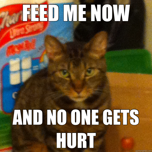 FEED ME NOW AND NO ONE GETS HURT - FEED ME NOW AND NO ONE GETS HURT  Misc