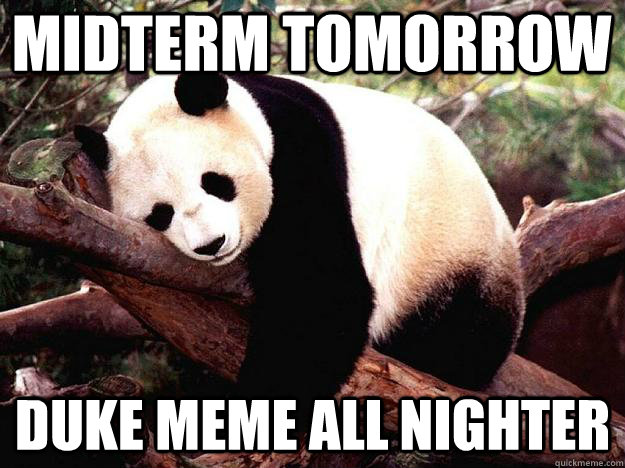 MIDTERM TOMORROW DUKE MEME ALL NIGHTER  Procrastination Panda