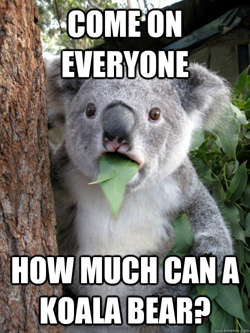 Come on everyone How much can a Koala Bear?  Surprised Koala