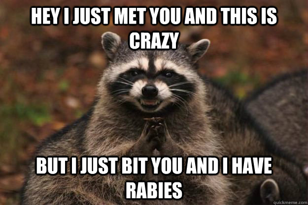 Hey I just met you and this is crazy But I just bit you and I have rabies  Evil Plotting Raccoon