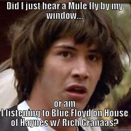 DID I JUST HEAR A MULE FLY BY MY WINDOW.... OR AM I LISTENING TO BLUE FLOYD ON HOUSE OF HAYNES W/ RICH GRANAAS? conspiracy keanu