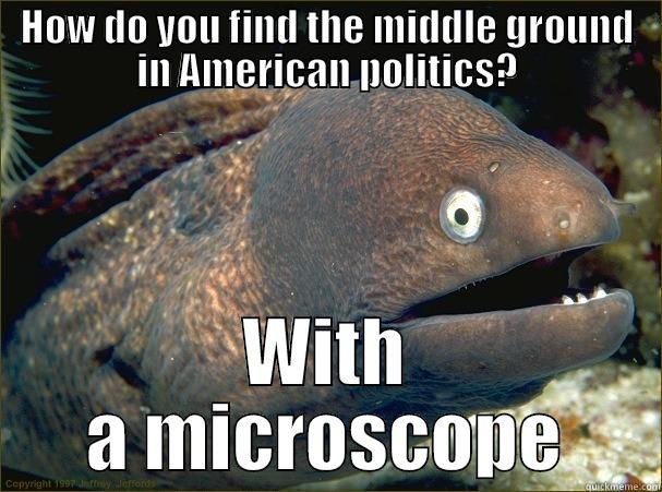 HOW DO YOU FIND THE MIDDLE GROUND IN AMERICAN POLITICS? WITH A MICROSCOPE Bad Joke Eel