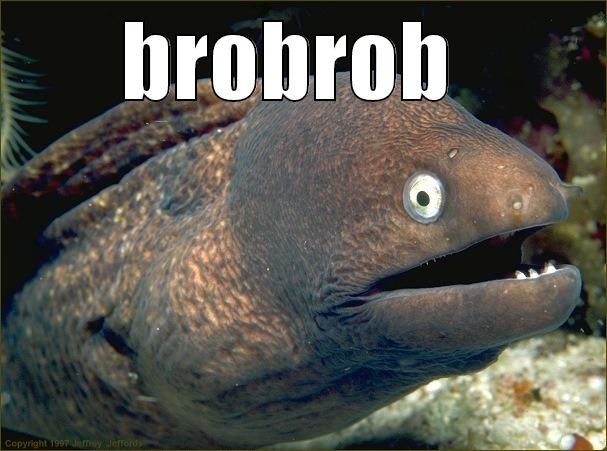 BROBROB   Bad Joke Eel