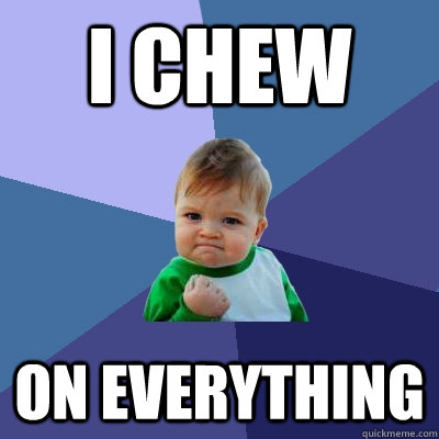 I chew On Everything  Success Kid