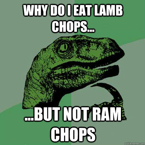 Why do I eat Lamb Chops... ...but not Ram Chops  Philosoraptor