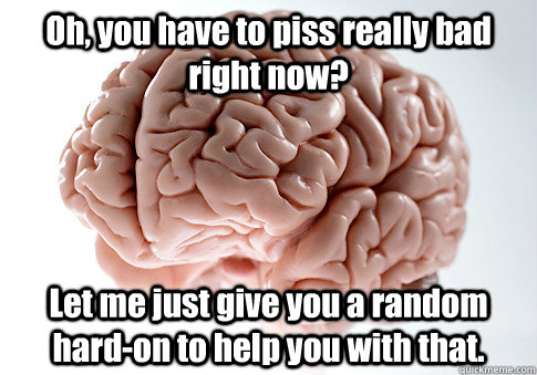 Oh, you have to piss really bad right now? Let me just give you a random hard-on to help you with that.   Scumbag Brain