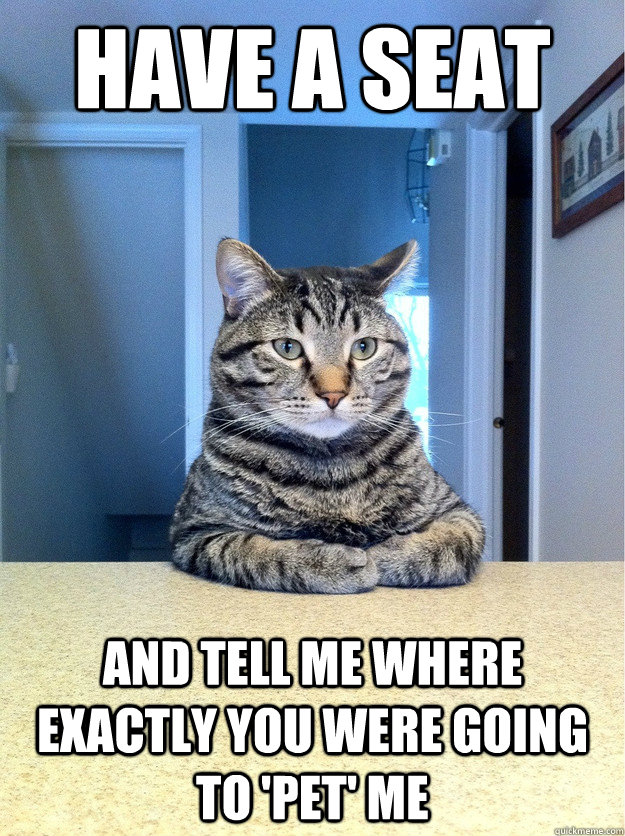 Have a seat and tell me where exactly you were going to 'pet' me  Chris Hansen Cat