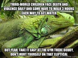 Third-world children face death and violence daily and some have to walk 3 hours each way to get water But yeah, take it easy at the gym there buddy, don't hurt yourself on that eliptical - Third-world children face death and violence daily and some have to walk 3 hours each way to get water But yeah, take it easy at the gym there buddy, don't hurt yourself on that eliptical  Irritated Iguana