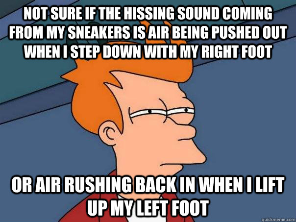 Not sure if the hissing sound coming from my sneakers is air being pushed out when i step down with my right foot Or air rushing back in when i lift up my left foot  Futurama Fry