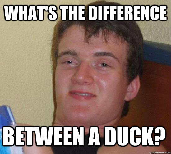 What's the difference between a duck?  10 Guy