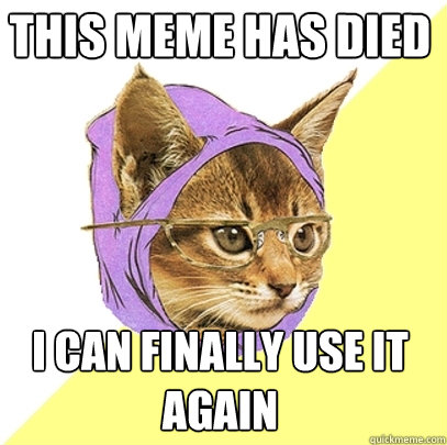 this meme has died i can finally use it again  Hipster Kitty